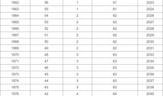 延迟退休年龄一览表图片