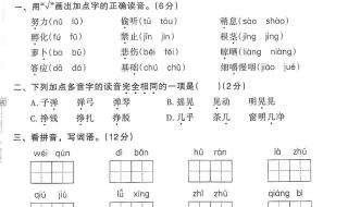 三年级上册期中试卷