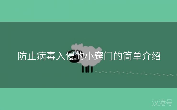 防止病毒入侵的小窍门的简单介绍