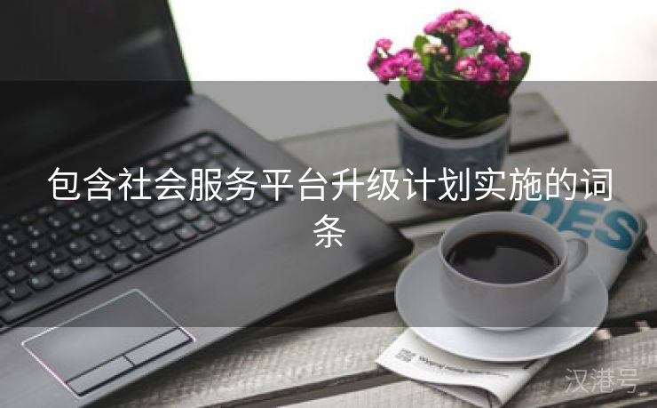 包含社会服务平台升级计划实施的词条