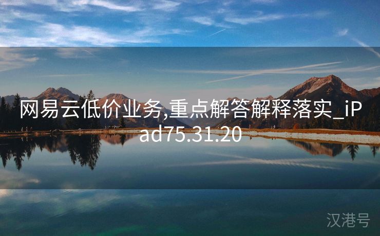 网易云低价业务,重点解答解释落实_iPad75.31.20