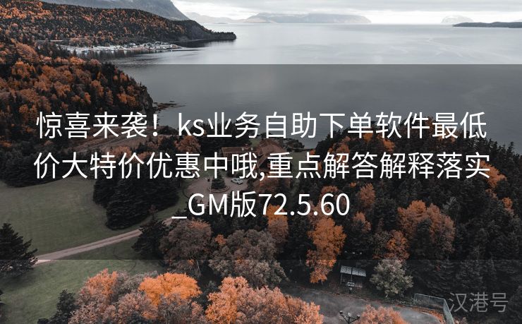 惊喜来袭！ks业务自助下单软件最低价大特价优惠中哦,重点解答解释落实_GM版72.5.60