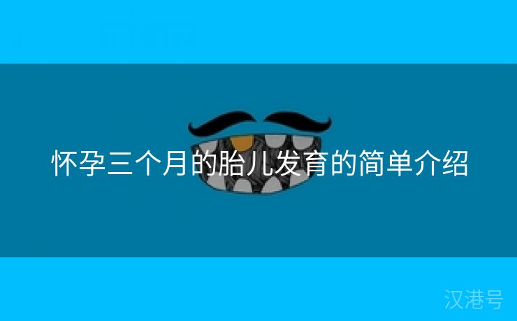 怀孕三个月的胎儿发育的简单介绍