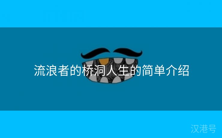 流浪者的桥洞人生的简单介绍