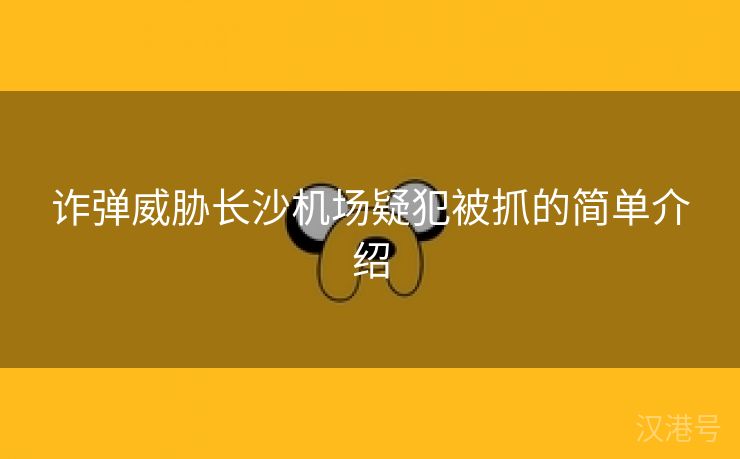 诈弹威胁长沙机场疑犯被抓的简单介绍