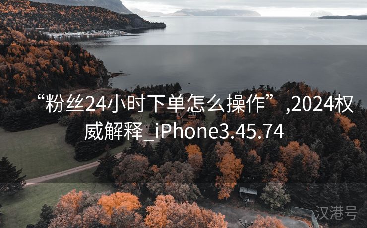 “粉丝24小时下单怎么操作”,2024权威解释_iPhone3.45.74