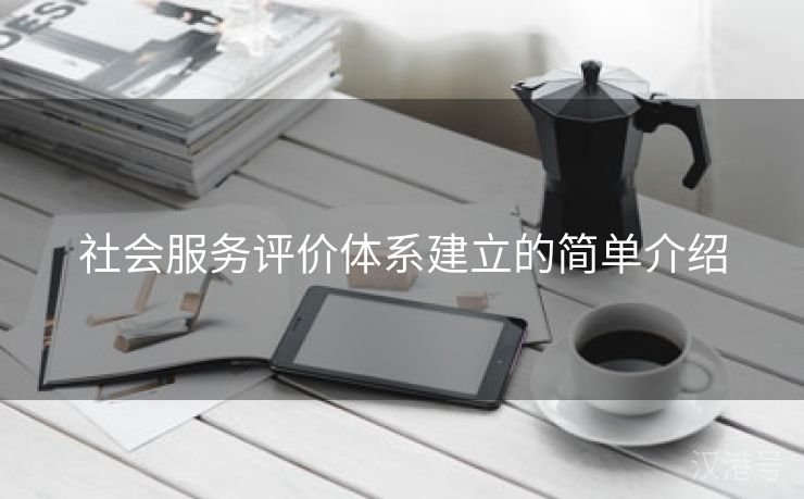 社会服务评价体系建立的简单介绍