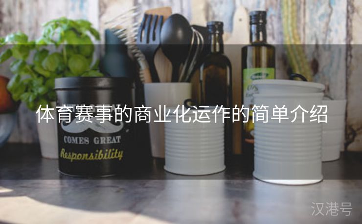 体育赛事的商业化运作的简单介绍