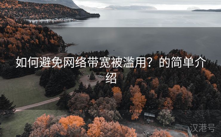 如何避免网络带宽被滥用？的简单介绍