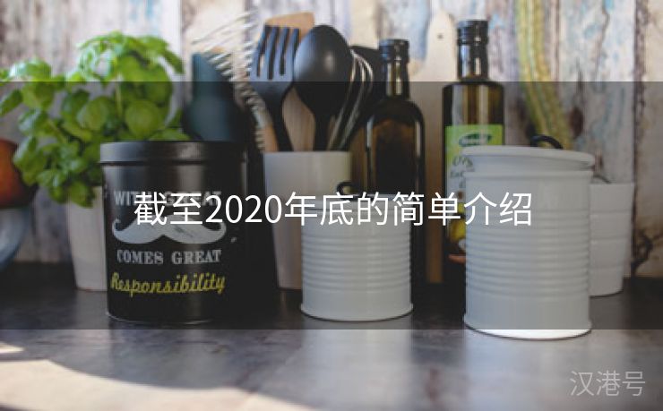 截至2020年底的简单介绍