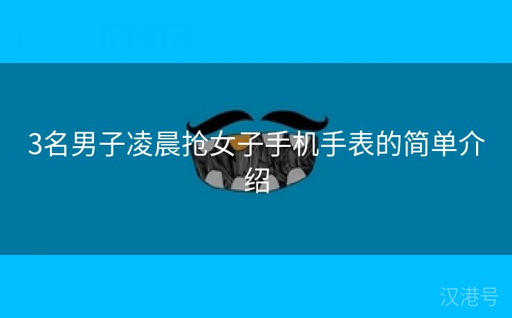 3名男子凌晨抢女子手机手表的简单介绍