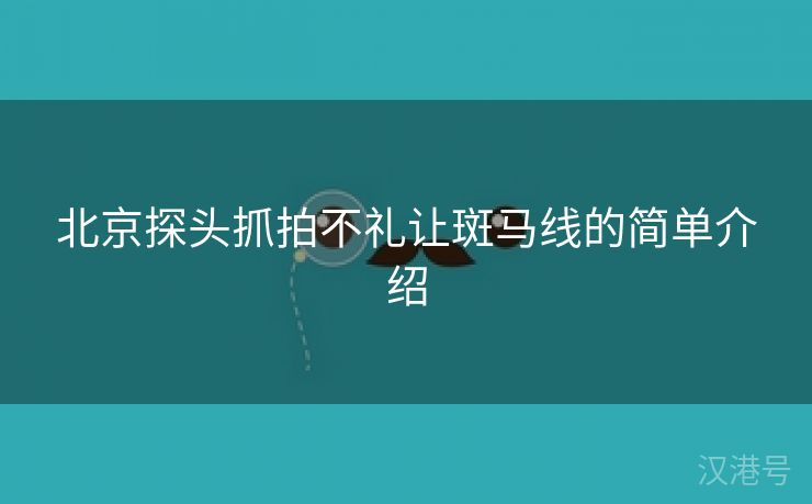 北京探头抓拍不礼让斑马线的简单介绍