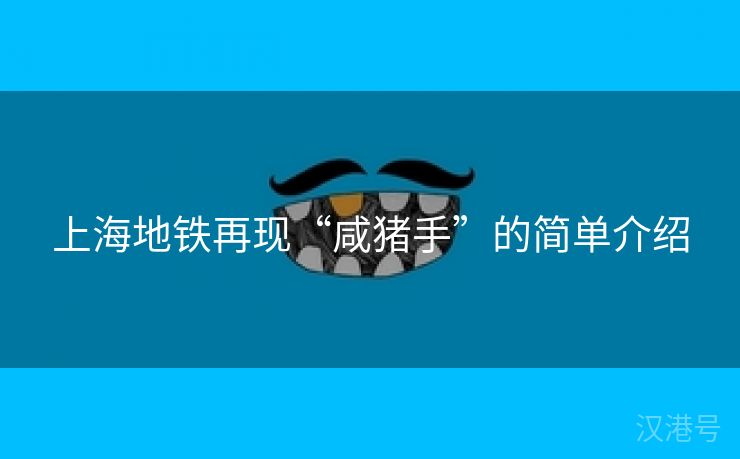 上海地铁再现“咸猪手”的简单介绍