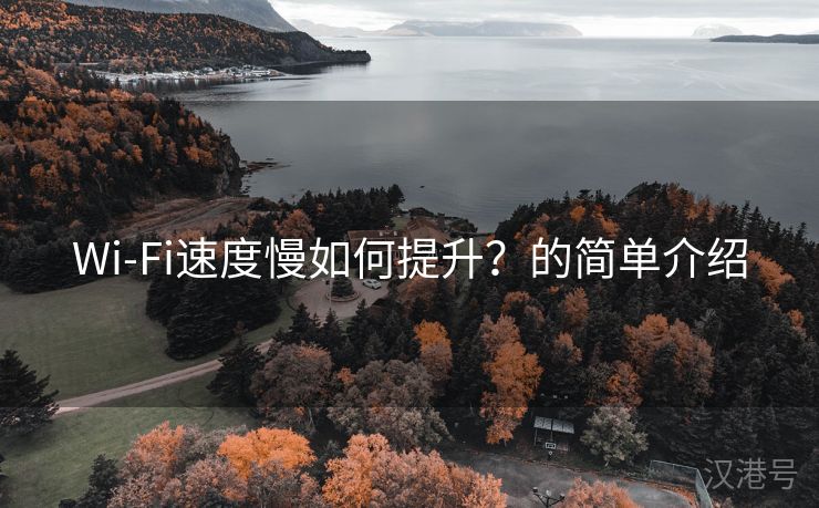 Wi-Fi速度慢如何提升？的简单介绍