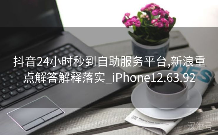 抖音24小时秒到自助服务平台,新浪重点解答解释落实_iPhone12.63.92