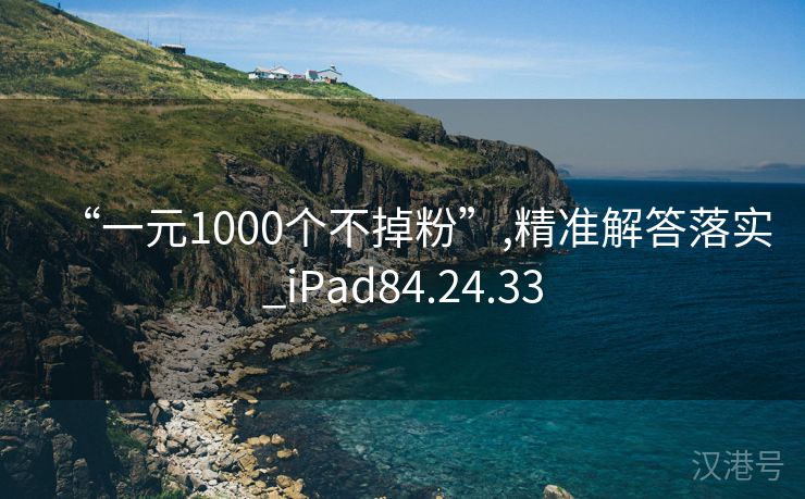 “一元1000个不掉粉”,精准解答落实_iPad84.24.33