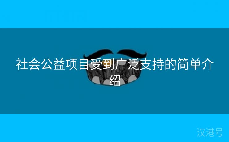 社会公益项目受到广泛支持的简单介绍