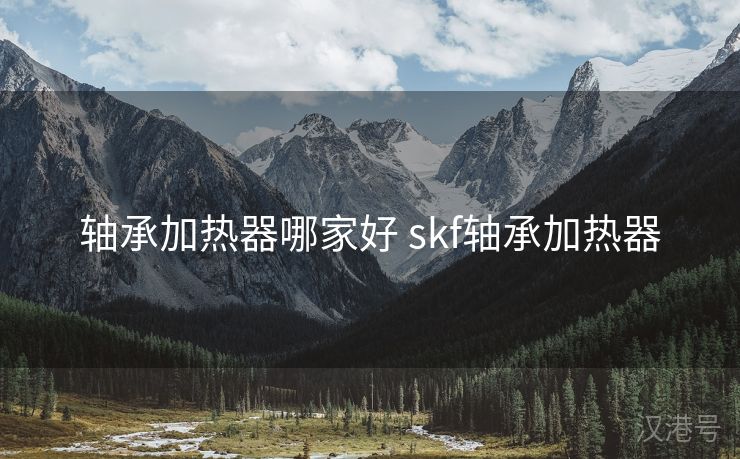 轴承加热器哪家好 skf轴承加热器