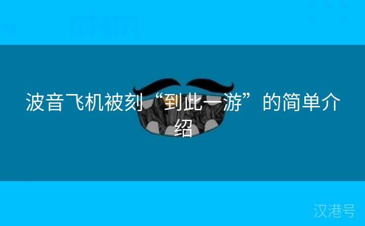 波音飞机被刻“到此一游”的简单介绍