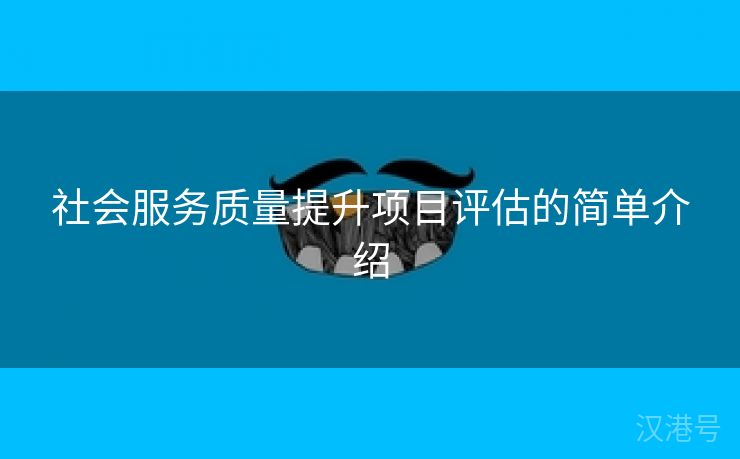 社会服务质量提升项目评估的简单介绍