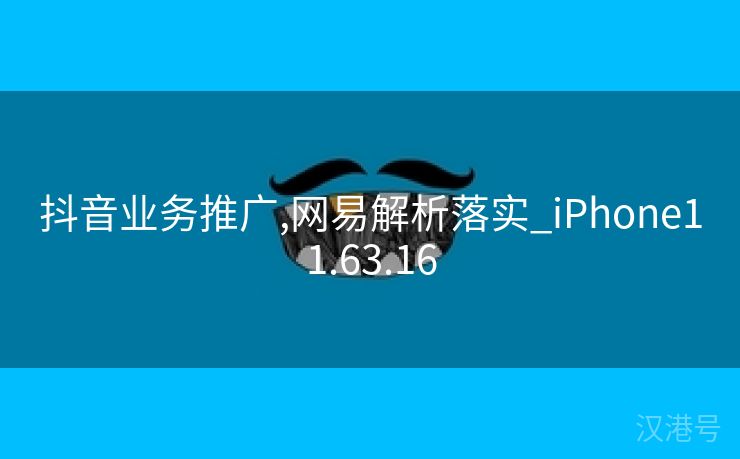 抖音业务推广,网易解析落实_iPhone11.63.16