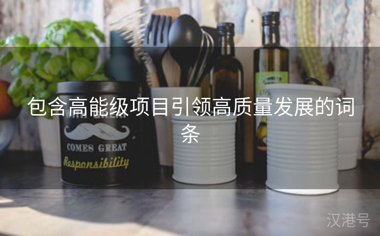 包含高能级项目引领高质量发展的词条