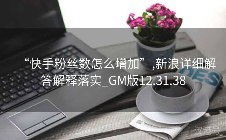 “快手粉丝数怎么增加”,新浪详细解答解释落实_GM版12.31.38