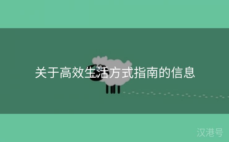 关于高效生活方式指南的信息