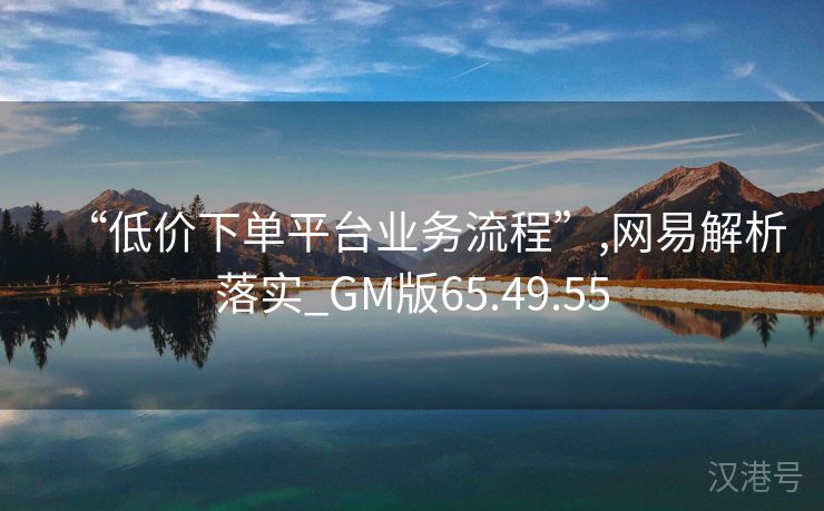 “低价下单平台业务流程”,网易解析落实_GM版65.49.55