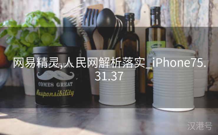 网易精灵,人民网解析落实_iPhone75.31.37