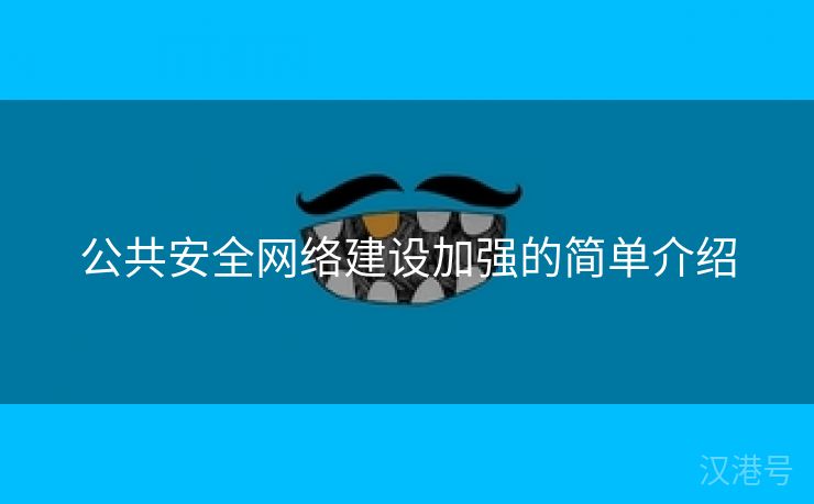 公共安全网络建设加强的简单介绍