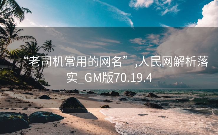 “老司机常用的网名”,人民网解析落实_GM版70.19.4