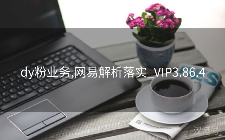 dy粉业务,网易解析落实_VIP3.86.4