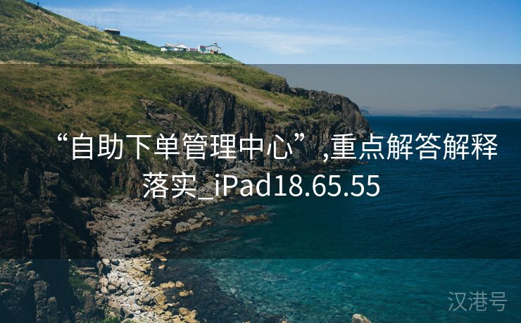 “自助下单管理中心”,重点解答解释落实_iPad18.65.55