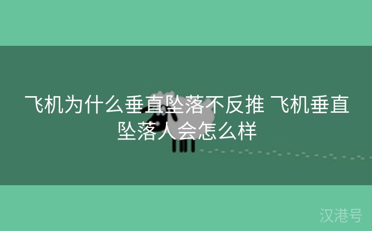 飞机为什么垂直坠落不反推 飞机垂直坠落人会怎么样