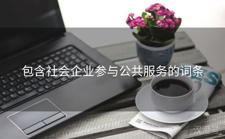 包含社会企业参与公共服务的词条