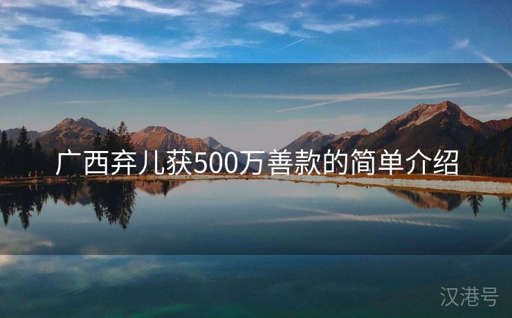 广西弃儿获500万善款的简单介绍