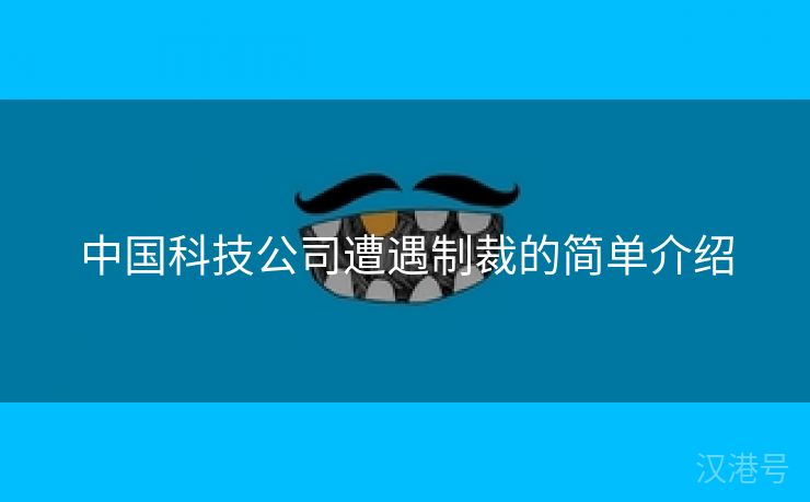 中国科技公司遭遇制裁的简单介绍