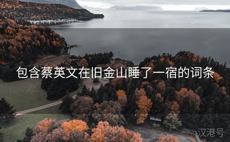 包含蔡英文在旧金山睡了一宿的词条