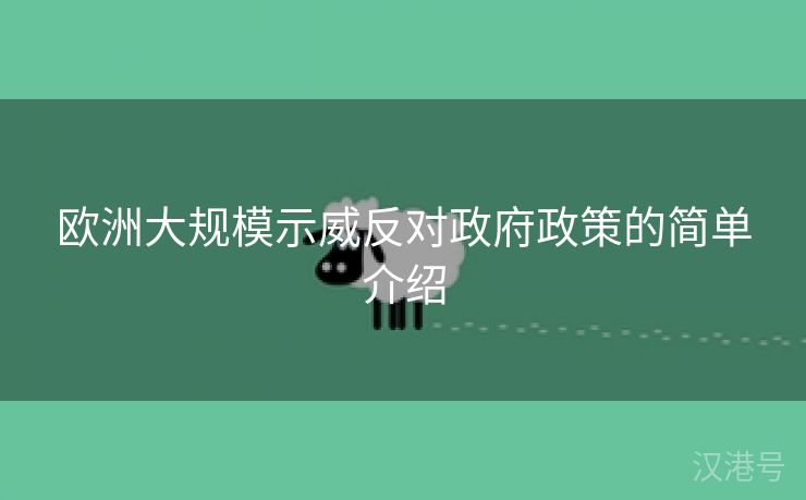 欧洲大规模示威反对政府政策的简单介绍