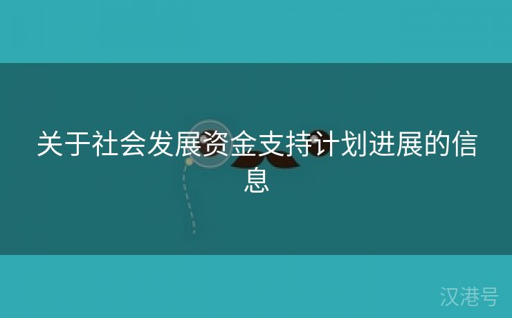 关于社会发展资金支持计划进展的信息