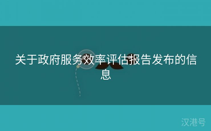 关于政府服务效率评估报告发布的信息