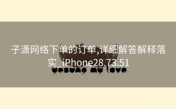 子潇网络下单的订单,详细解答解释落实_iPhone28.73.51