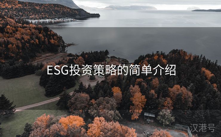 ESG投资策略的简单介绍