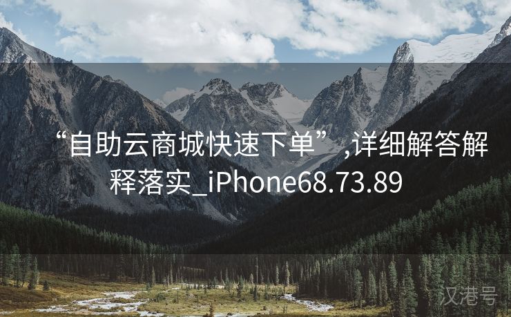 “自助云商城快速下单”,详细解答解释落实_iPhone68.73.89