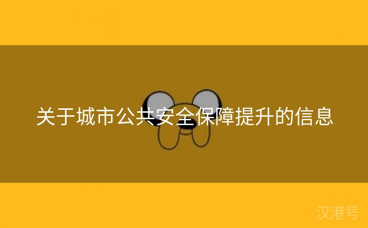 关于城市公共安全保障提升的信息