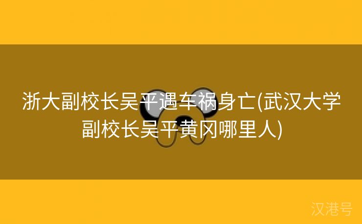 浙大副校长吴平遇车祸身亡(武汉大学副校长吴平黄冈哪里人)