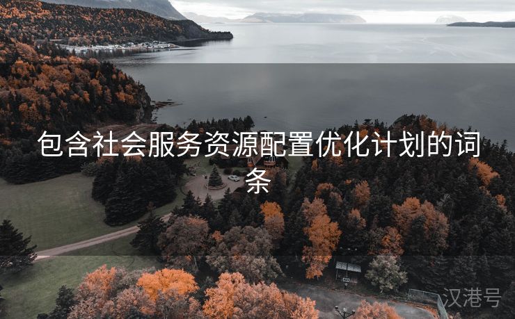 包含社会服务资源配置优化计划的词条