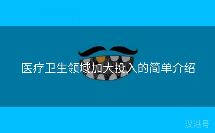 医疗卫生领域加大投入的简单介绍