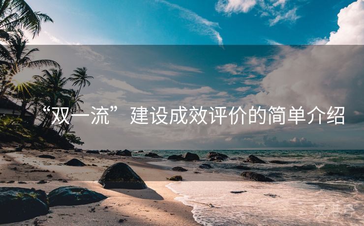 “双一流”建设成效评价的简单介绍